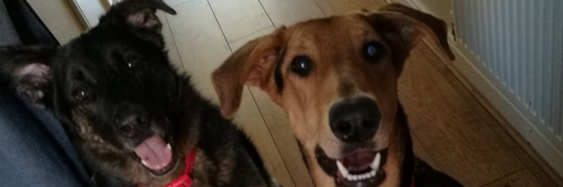 HornshawMrs's profile banner image