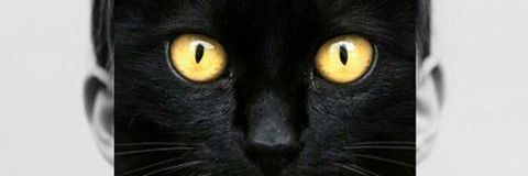 criispino92's profile banner image