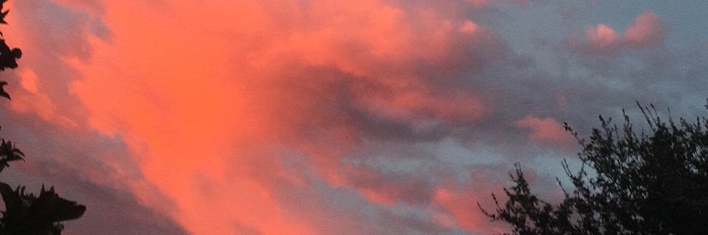 TheLadyinRed_'s profile banner image