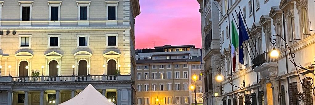 Renato Loiero banner