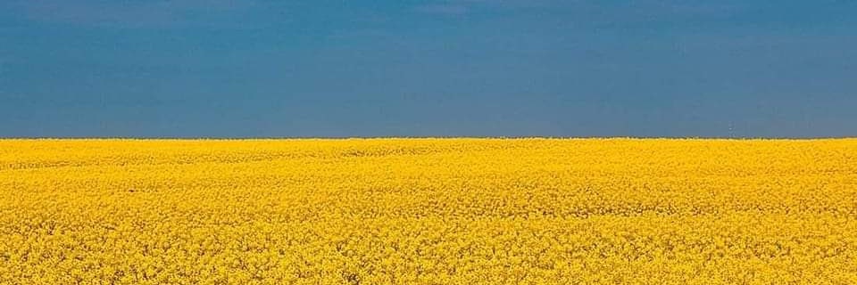 Filipe Pires banner