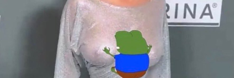 fehllyy's profile banner image
