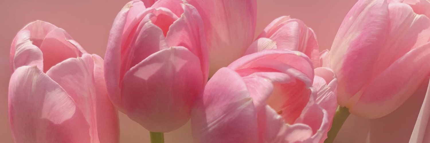 lauraraamos's profile banner image