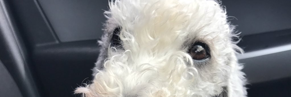 ChloeTeexx's profile banner image