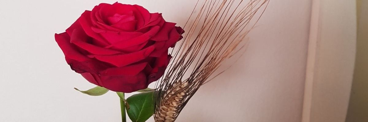 Bea Verdaguer banner