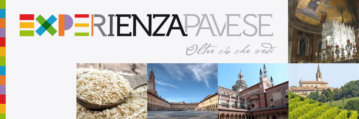 experienzapaves's profile banner image