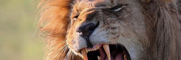 Jawceyy's profile banner image