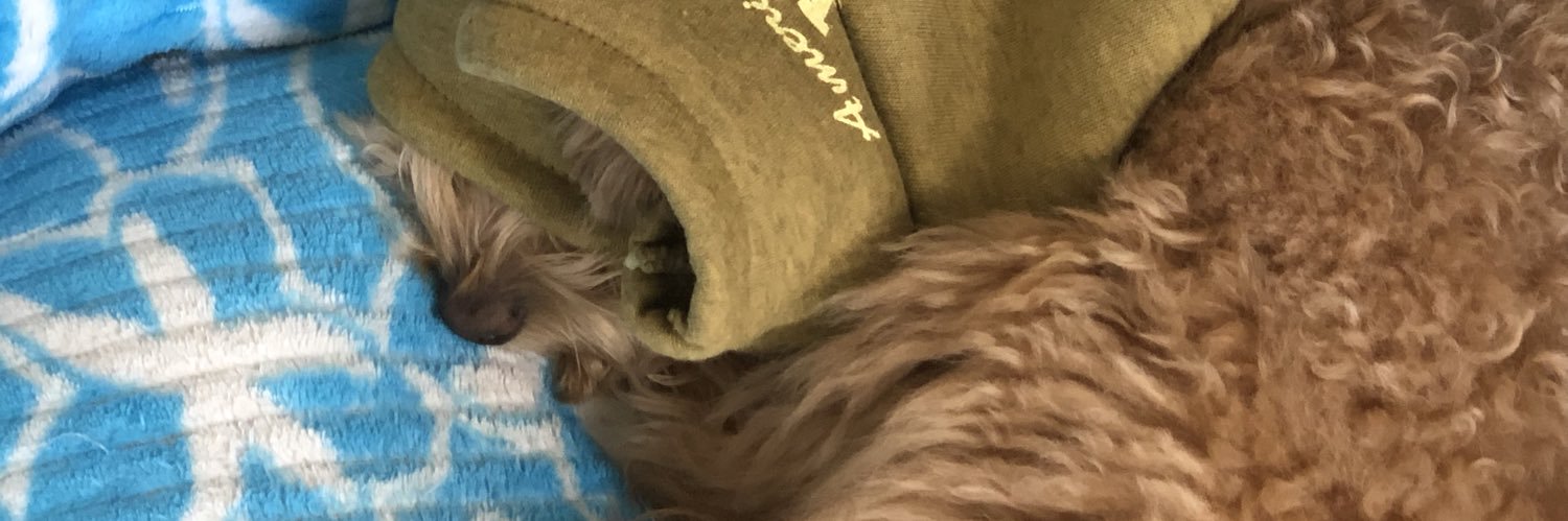 pingkrh's profile banner image