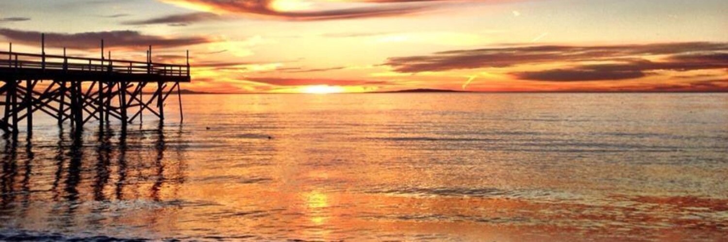 ParadiseCove's profile banner image