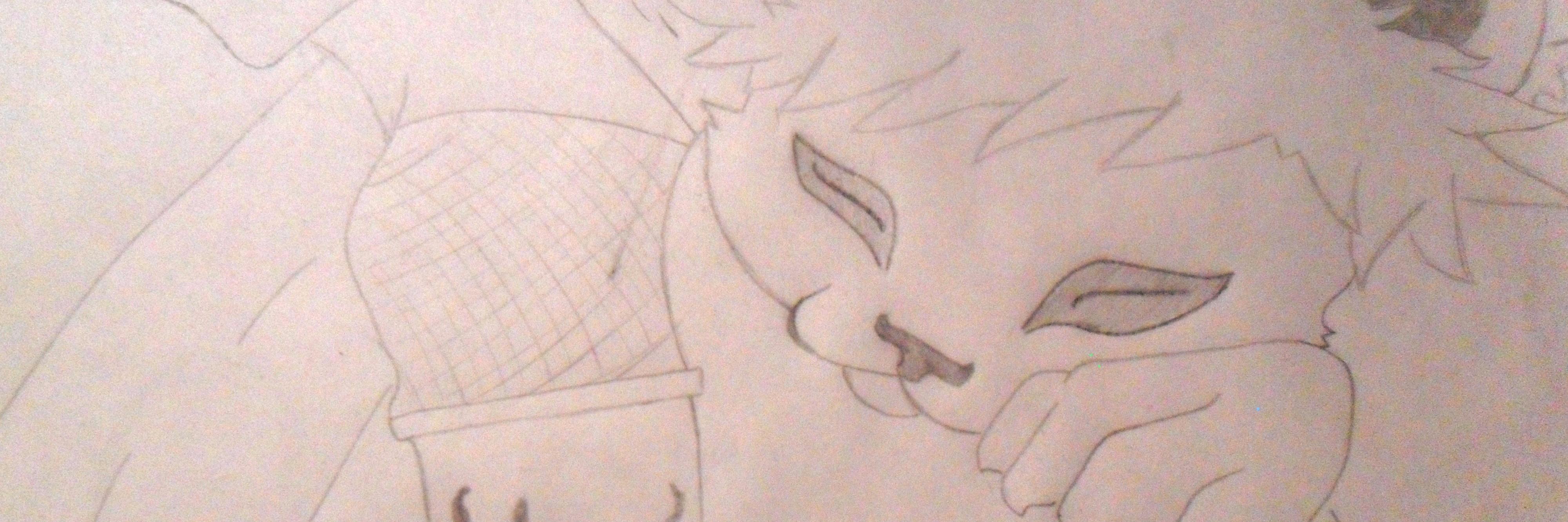 torrestepha's profile banner image