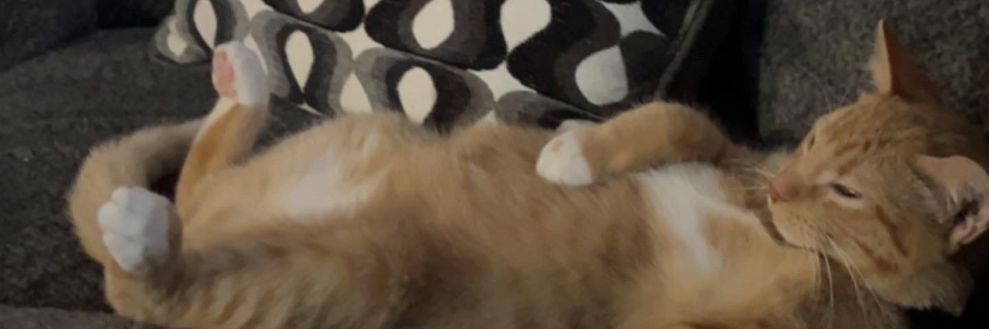 jcoops24's profile banner image