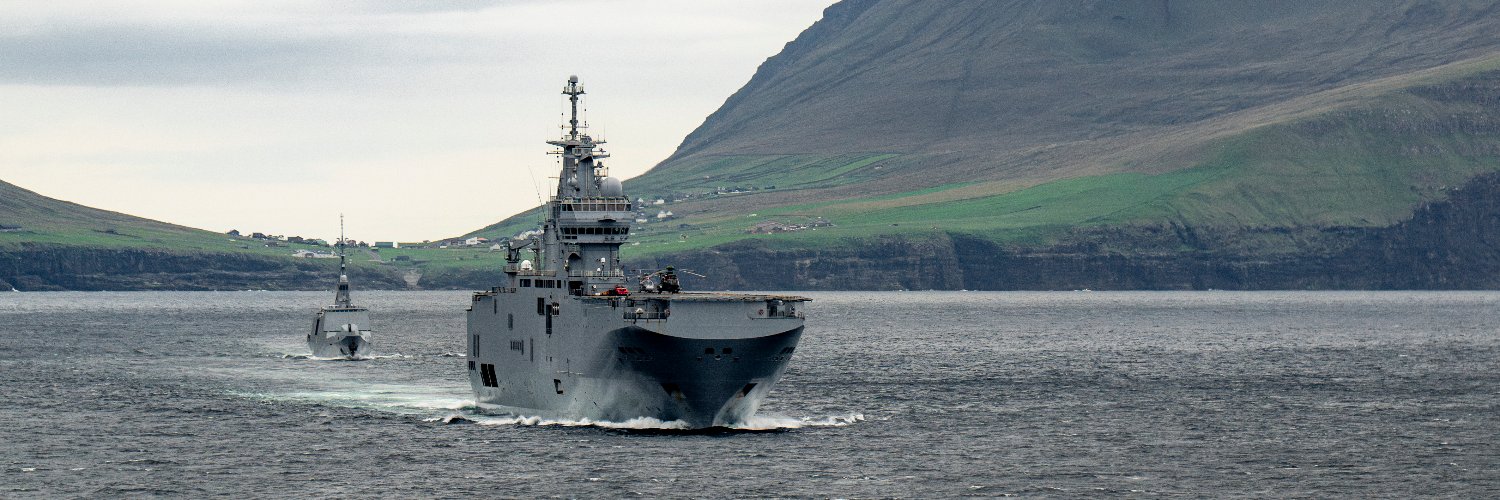 Marine nationale's banner