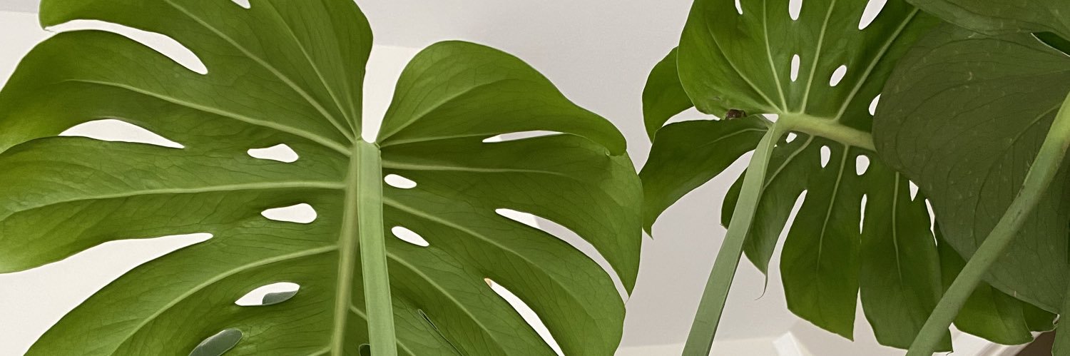 notkinz's profile banner image