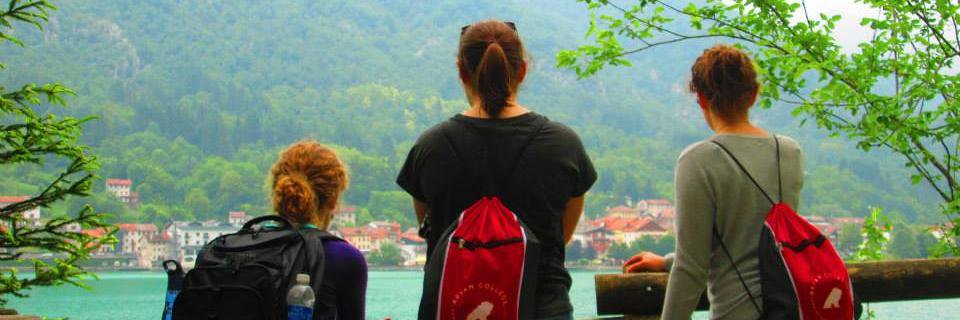 tallyer's profile banner image