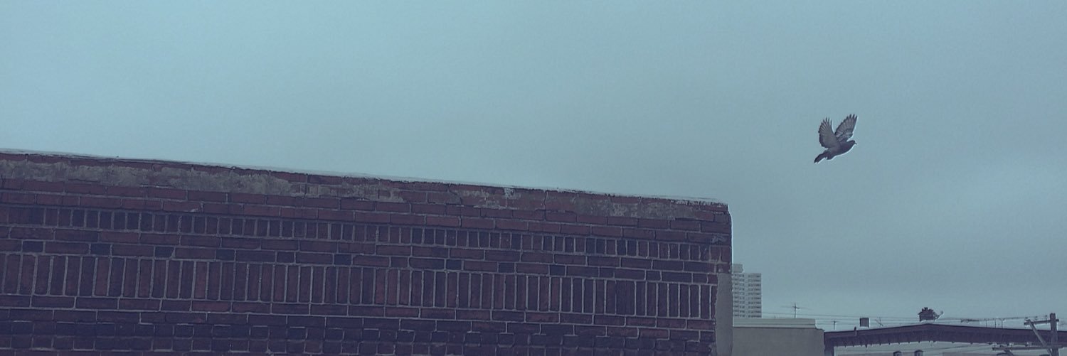 Josh Hey banner