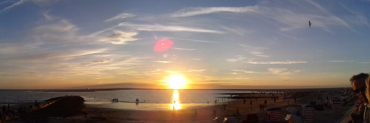 Krimiane's profile banner image