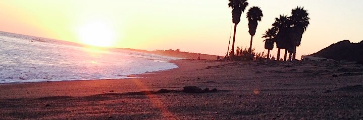 skyler_whitcher's profile banner image