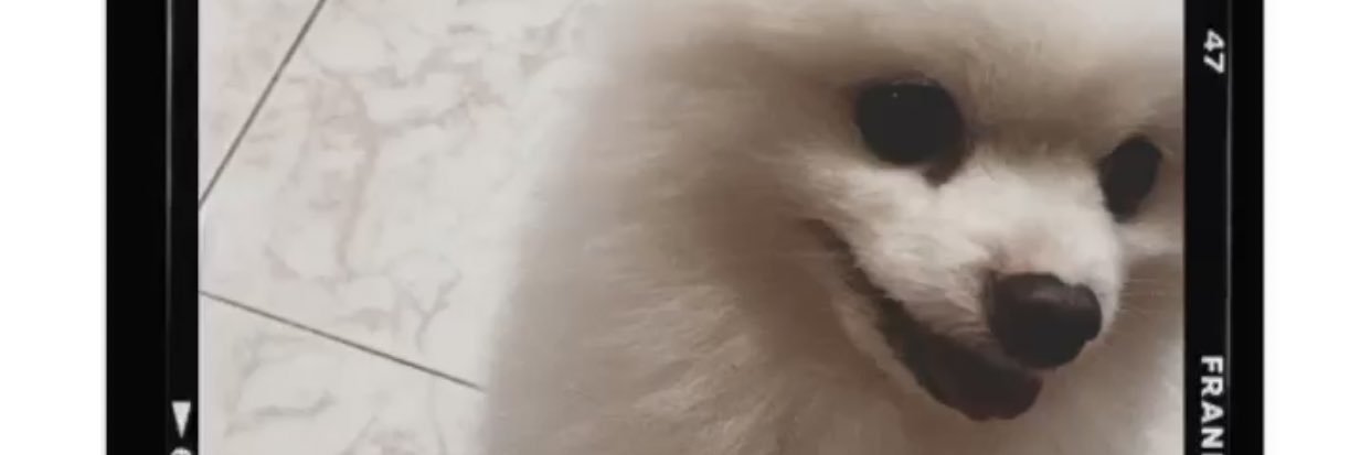 googuys's profile banner image