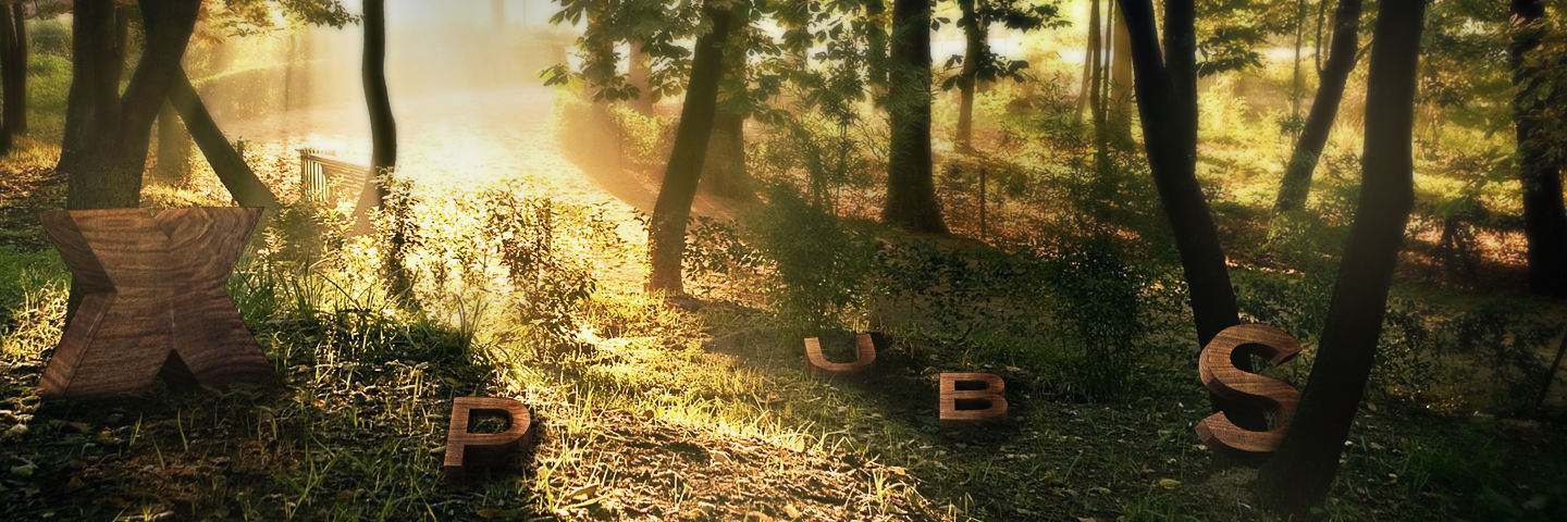 ISlayInPubs_'s profile banner image