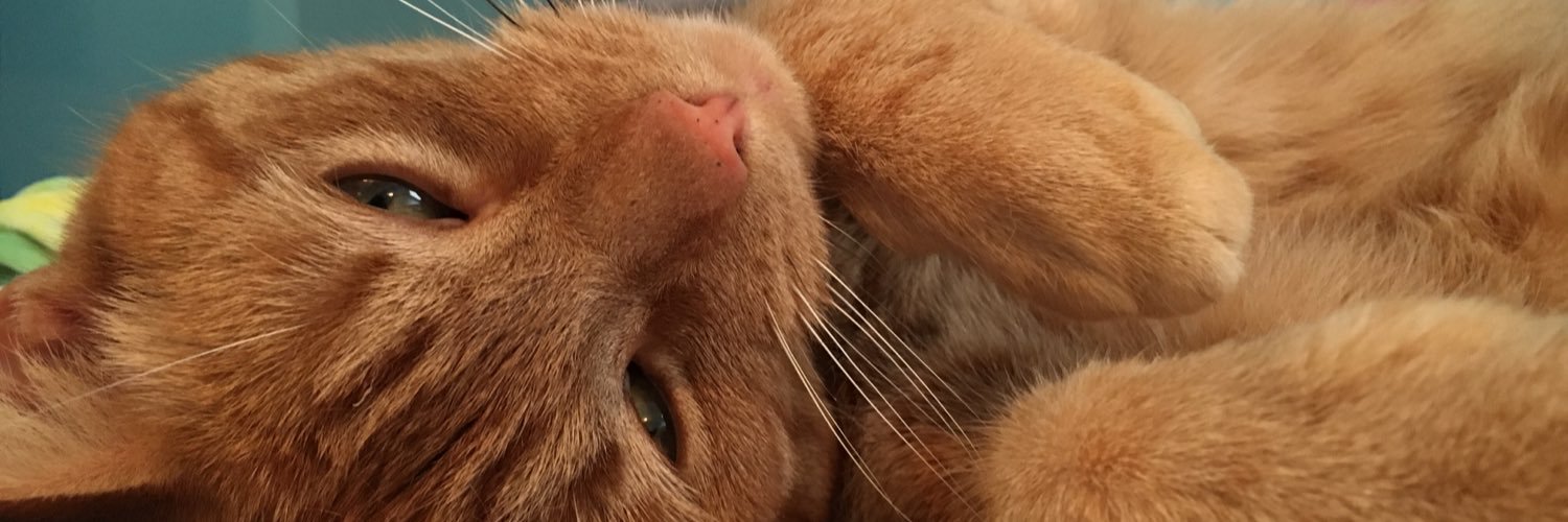 KaityPratt's profile banner image