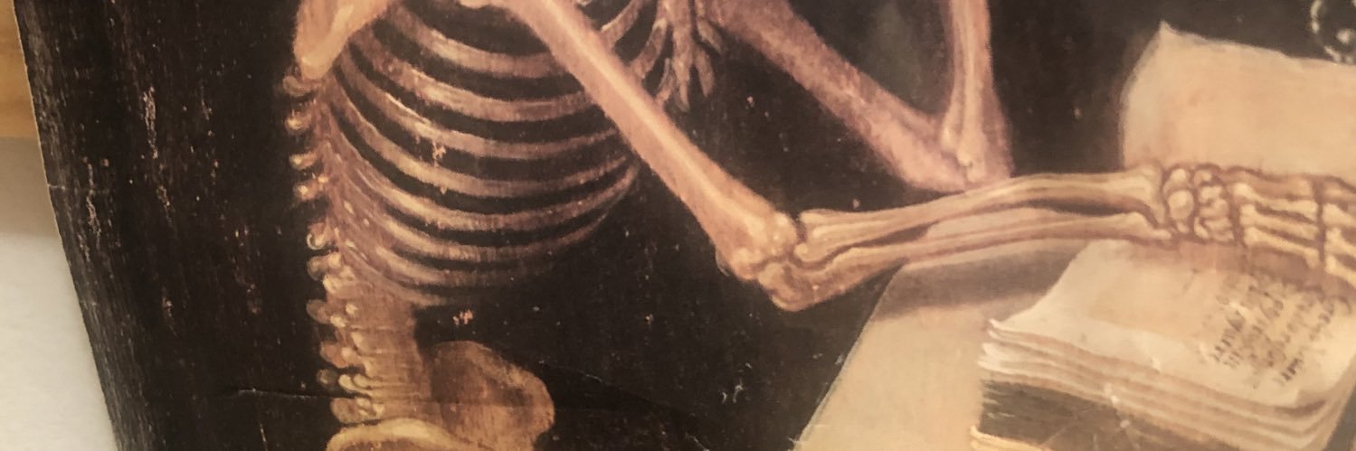 vidonflice's profile banner image