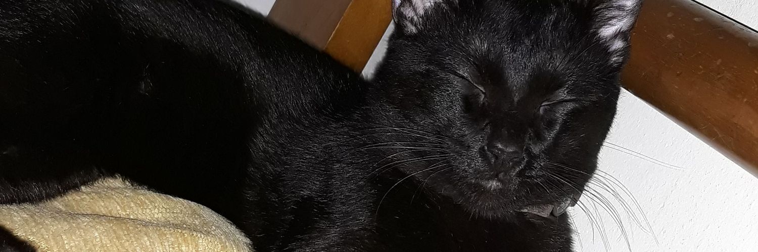 Mapaucita's profile banner image