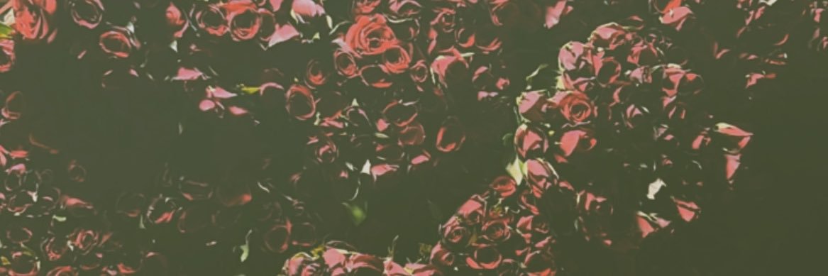 bollinnt's profile banner image