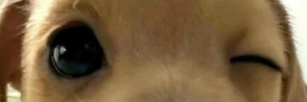 DaSillyDeer's profile banner image