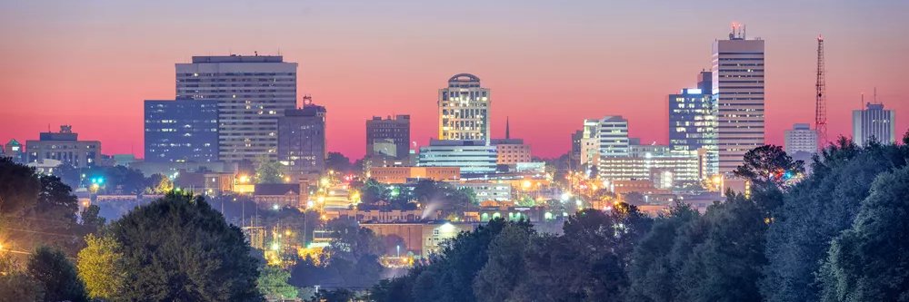 Michael J. McGandy banner