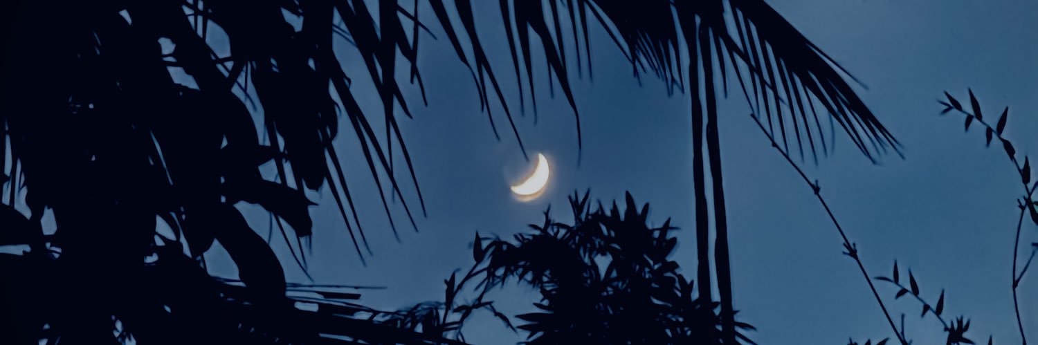 dxrvs_'s profile banner image