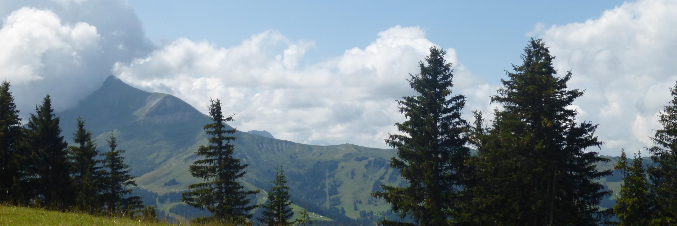 KineURPS's profile banner image