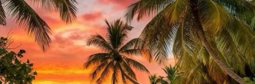 ❯❯❯❯ Anna🌈⃤ banner