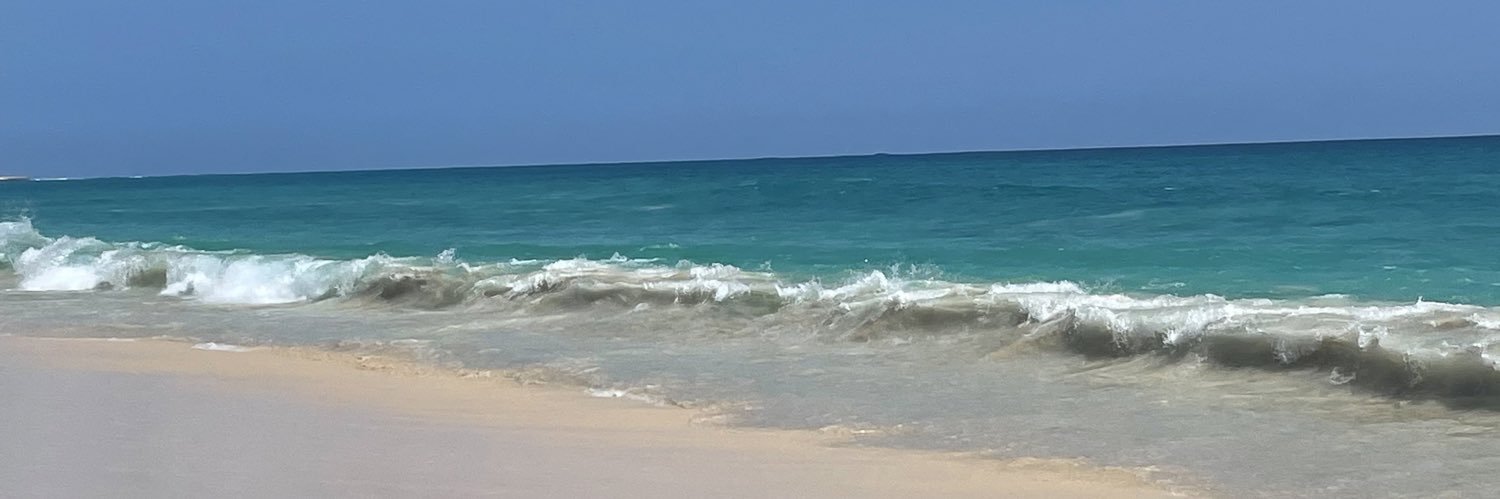 hayleyh79's profile banner image