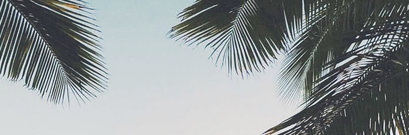 piichanaaa's profile banner image