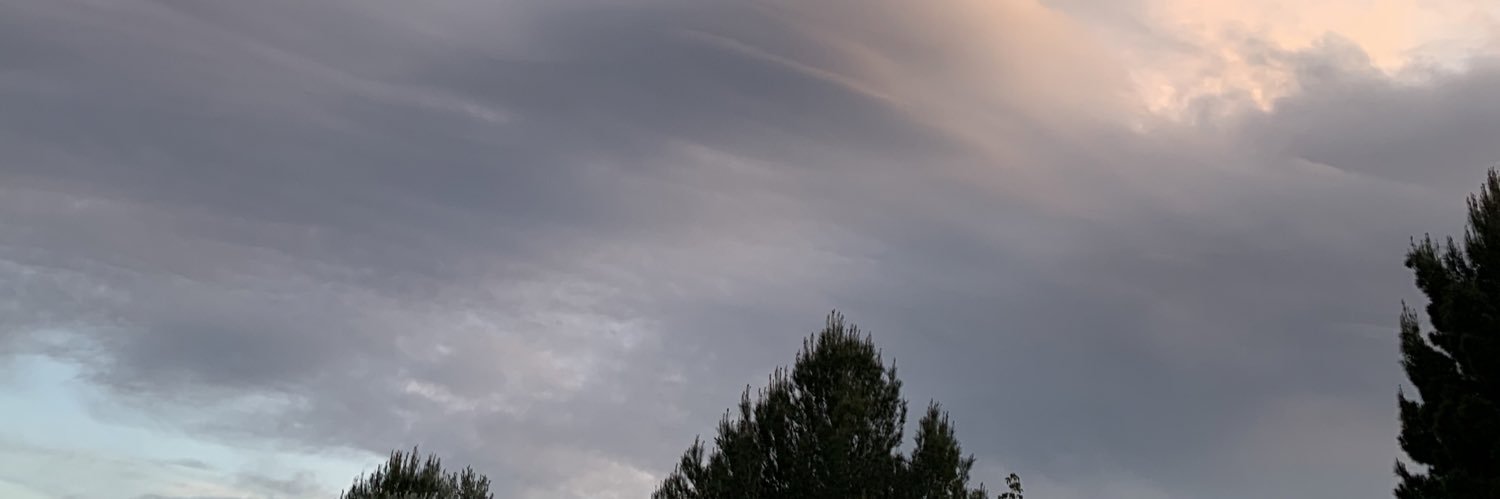 BosqueRocio's profile banner image