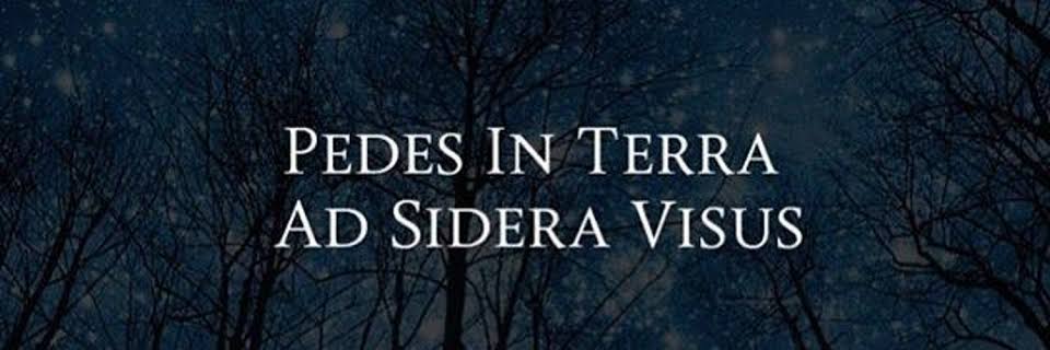 VVDEFILIPPI's profile banner image