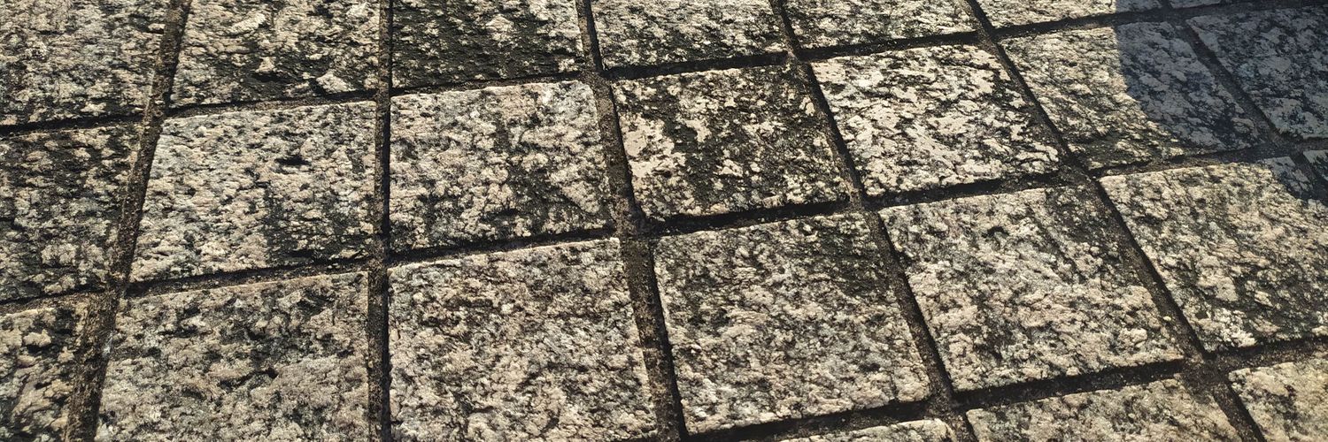 Investing, nature and life banner