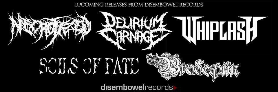 necrotized_iddm's profile banner image