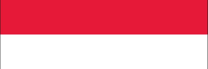 Bang Ilk banner