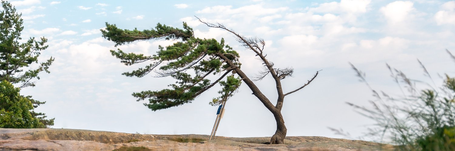 KillbearPP profile banner