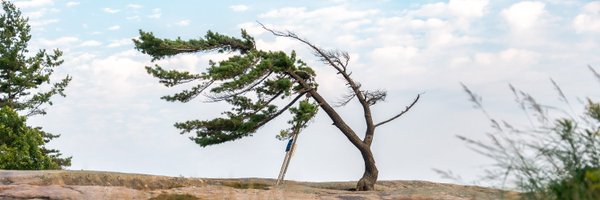 KillbearPP Profile Banner