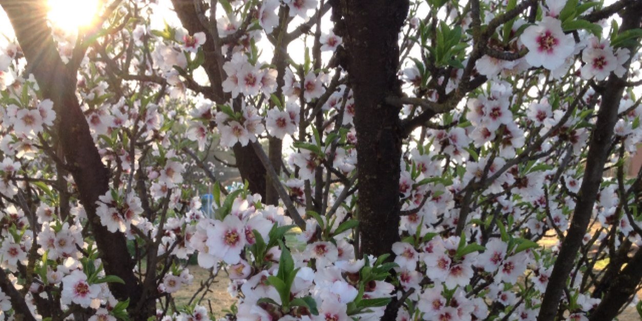 eclectic_acres's profile banner image