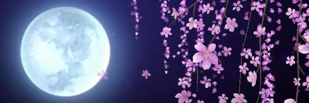 月夜咲羅🌙😈@VTuber banner