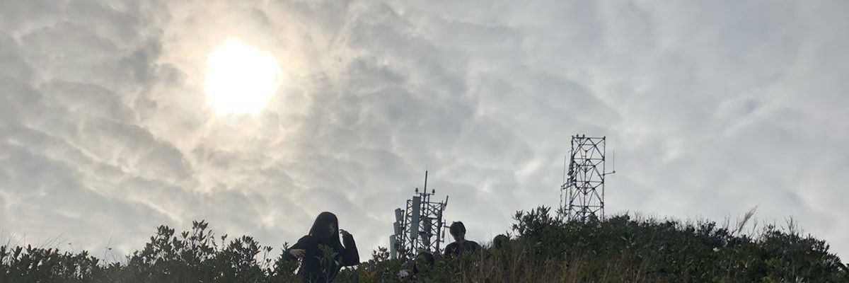 TH banner