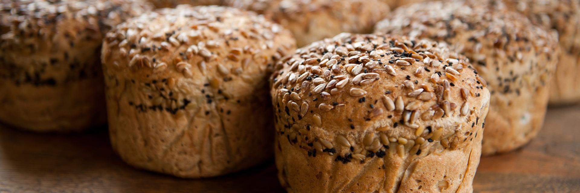 SimpleKneads_GF's profile banner image