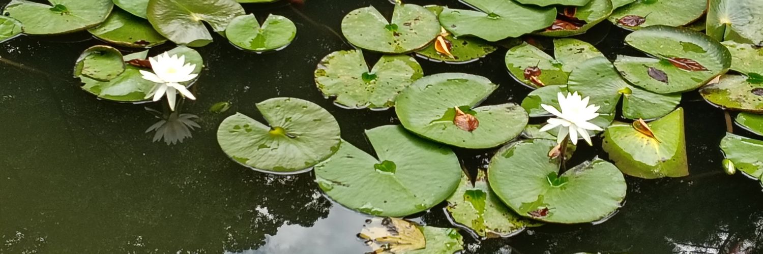 kagerou8ban's profile banner image