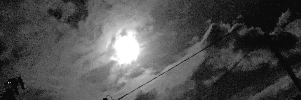Melissatrn15's profile banner image