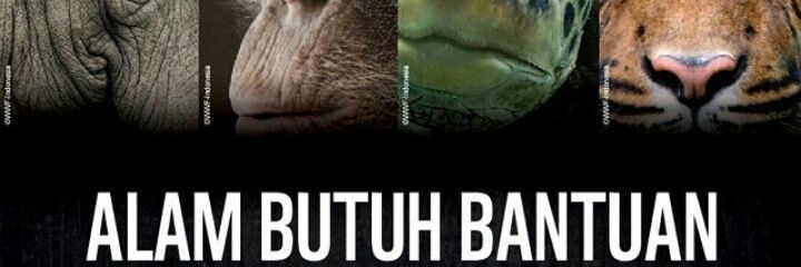 PVT IPB 51 banner