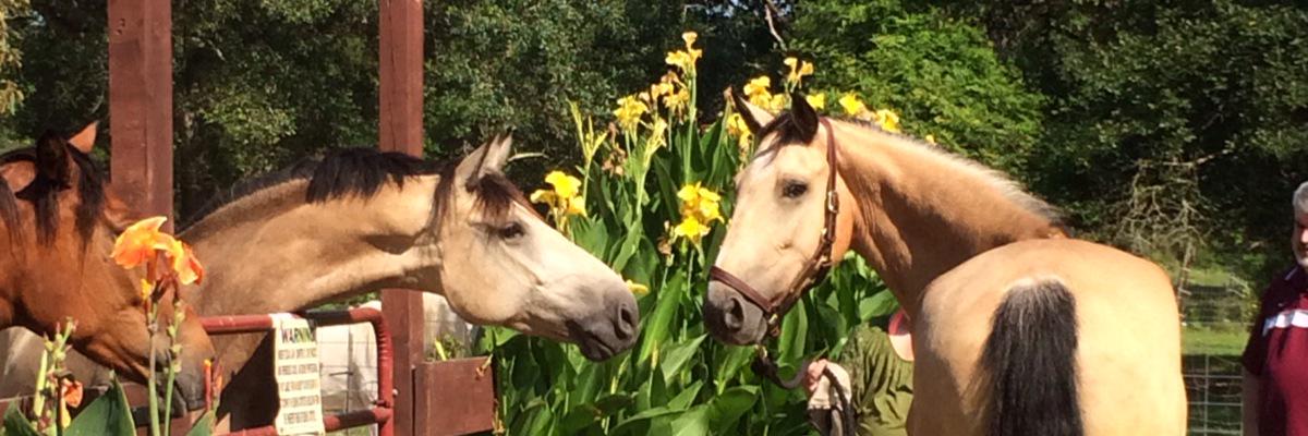 JustaLilJaded's profile banner image