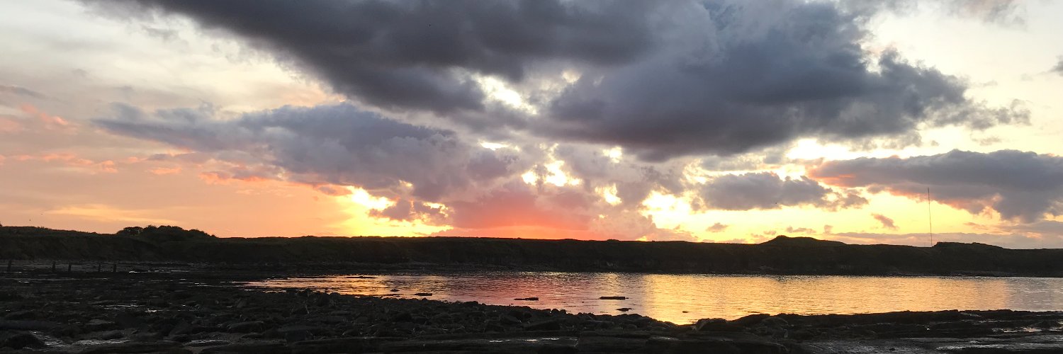 lilywhear's profile banner image